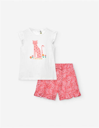 Conjunto de t-shirt com calçoes de algodão do tam 9-12 meses ao tam 24-36 meses